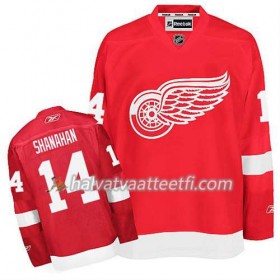 Reebok Miesten NHL Detroit Red Wings Pelipaita Brendan Shanahan #14 Koti Punainen
