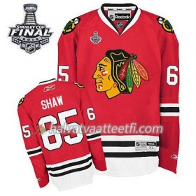 Reebok Miesten NHL Chicago Blackhawks Pelipaita Andrew Shaw #65 Koti Punainen 2015 Stanley Cup