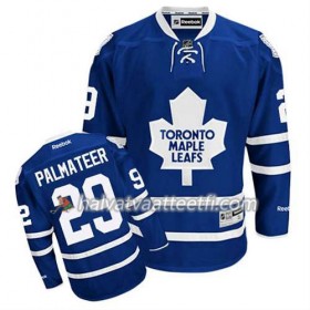 Reebok Miesten NHL Toronto Maple Leafs Pelipaita Mike Palmateer #29 Koti Sininen