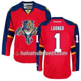 Reebok Miesten NHL Florida Panthers Pelipaita Roberto Luongo #1 Koti Punainen